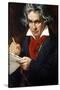 Ludwig Van Beethoven-Joseph Karl Stieler-Stretched Canvas