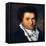 Ludwig Van Beethoven-Joseph Willibrord Mahler-Framed Stretched Canvas