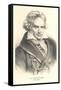 Ludwig Von Beethoven-null-Framed Stretched Canvas