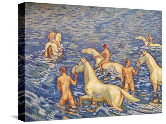 Stretched Canvas Print, , large