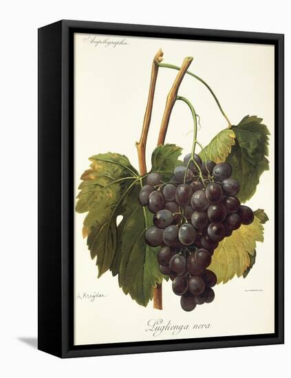 Luglienga Nera Grape by a Kreyder-null-Framed Stretched Canvas