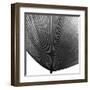 Lugo Noir-Ben Wood-Framed Giclee Print