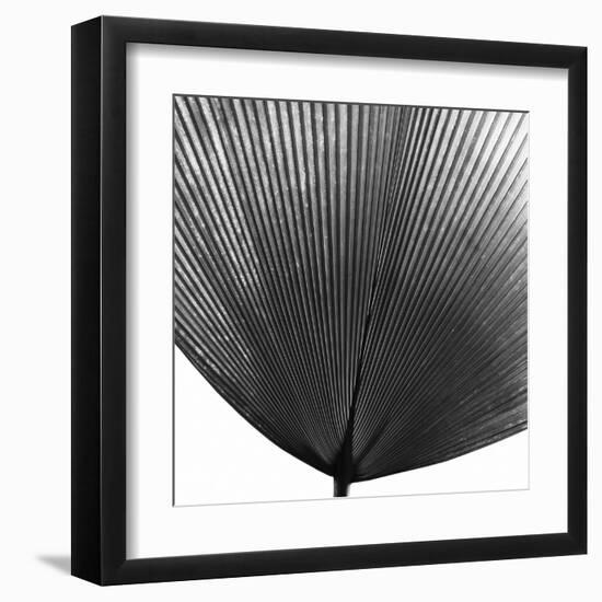 Lugo Noir-Ben Wood-Framed Giclee Print