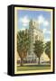 Luhrs Tower Building, Phoenix, Arizona-null-Framed Stretched Canvas