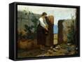 Framed Canvas