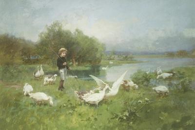 Tending the Geese