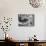 Luigi Pirandello Nobel-null-Mounted Photographic Print displayed on a wall