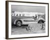 Luigi Villoresi Winning the British Grand Prix, Silverstone, October 1948-null-Framed Photographic Print