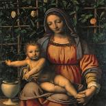 Madonna and Child (Madonna Del Roseto)-Luini Bernardino-Giclee Print