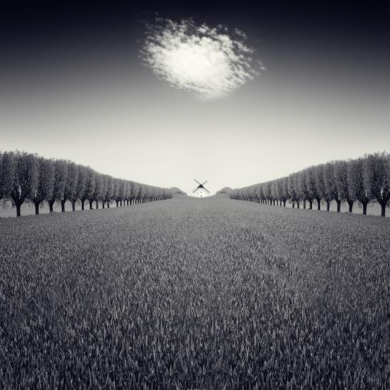 Photographic Print, , large