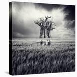 Walk with Me-Luis Beltran-Framed Photographic Print