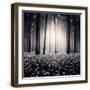 Chelsea Forest Gray