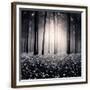 Chelsea Forest Gray