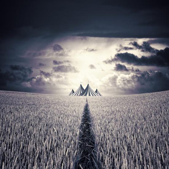 Photographic Print, , large