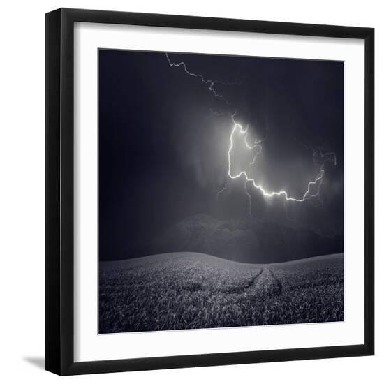 Premium Photographic Print, , large