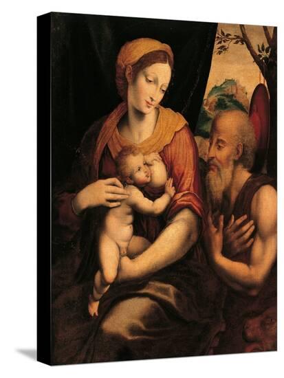 Stretched Canvas Print, , large
