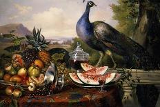 Still Life with Peacock-Luis Portu-Laminated Giclee Print