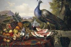 Still Life with Peacock-Luis Portu-Laminated Giclee Print