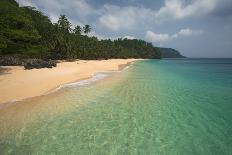 Guinea lidless skink Principe Island, Democratic Republic of Sao Tome and Principe, Gulf of Guinea-Luis Quinta-Photographic Print