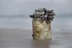 Goose Barnacle (Pollicipes Sp) Attached to Bottle-Luis Quinta-Framed Photographic Print