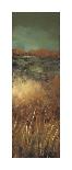 Nature's Abundance I-Luis Solis-Stretched Canvas