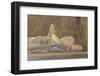 Luis Vaz de Camoes Tomb in Jeronimos Monastery, Lisbon, Portugal-Jim Engelbrecht-Framed Photographic Print