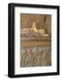 Luis Vaz de Camoes Tomb in Jeronimos Monastery, Lisbon, Portugal-Jim Engelbrecht-Framed Photographic Print