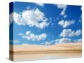 Stretched Canvas