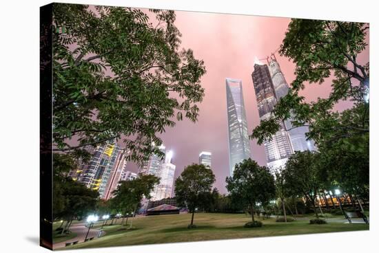 Lujiazui Central Park with Jin Mao Tower-Andreas Brandl-Stretched Canvas