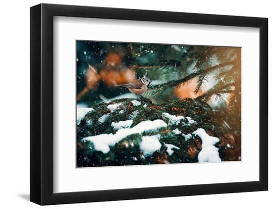 Premium Photographic Print, , large