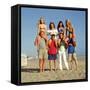 LUKE PERRY; TORI SPELLING; JASON PRIESTLEY; IAN ZIERING; JENNIE GARTH; BRIAN AUSTIN GREEN. "Beve...-null-Framed Stretched Canvas