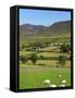 Luke's Mountain, Mourne Mountains, County Down, Ulster, Northern Ireland, United Kingdom, Europe-Jeremy Lightfoot-Framed Stretched Canvas