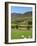 Luke's Mountain, Mourne Mountains, County Down, Ulster, Northern Ireland, United Kingdom, Europe-Jeremy Lightfoot-Framed Photographic Print