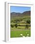 Luke's Mountain, Mourne Mountains, County Down, Ulster, Northern Ireland, United Kingdom, Europe-Jeremy Lightfoot-Framed Photographic Print