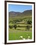 Luke's Mountain, Mourne Mountains, County Down, Ulster, Northern Ireland, United Kingdom, Europe-Jeremy Lightfoot-Framed Photographic Print