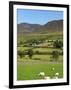 Luke's Mountain, Mourne Mountains, County Down, Ulster, Northern Ireland, United Kingdom, Europe-Jeremy Lightfoot-Framed Photographic Print
