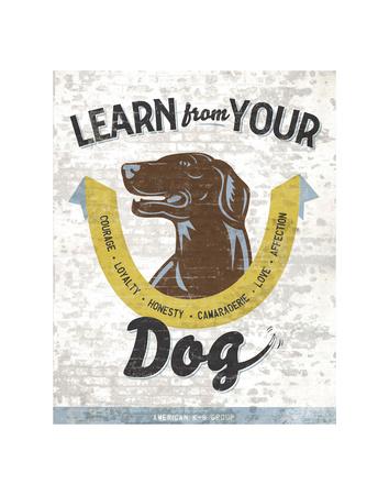 Learn From Your Dog