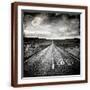 Brown Frame