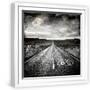 White Frame