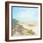 Brown Frame