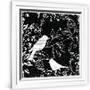 Gramercy White