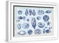 White Frame
