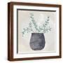 Brown Frame