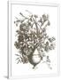 Gramercy White