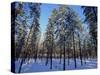 Lulea, Lapland, Sweden, Scandinavia, Europe-Sergio Pitamitz-Stretched Canvas