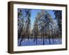 Lulea, Lapland, Sweden, Scandinavia, Europe-Sergio Pitamitz-Framed Photographic Print