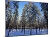 Lulea, Lapland, Sweden, Scandinavia, Europe-Sergio Pitamitz-Mounted Photographic Print