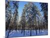 Lulea, Lapland, Sweden, Scandinavia, Europe-Sergio Pitamitz-Mounted Photographic Print