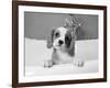 Lulu-Kim Levin-Framed Photographic Print