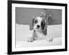 Lulu-Kim Levin-Framed Photographic Print